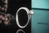 Tiffany & Co Solitär Ring Setting mit Diamant 0,24 Ct in Platin Full Set 