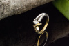 Ring Blitz mit Diamant Brillanten Bicolor 585er Gold Goldschmiedearbeit 