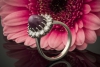 Sternrubin Ring mit Brillanten klassische Form in 750er Weißgold 