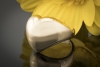 Chopard Herz Ring anschmiegsam in modernem Design aus 750er Gelbgold 