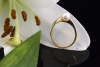 Ring mit Perle Perlenring mit Diamanten Brillanten in 750er Gold 