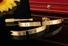Cartier Love Armreif Armband Neues Modell in 750er Gelbgold Größe 20 OVP 