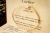 Cartier Armband Armreif Juste un Clou Kleines Modell in Roségold Gr. 17 