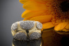 Diamantring Ring mit Diamanten in 750er Gelbgold 