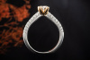 Buchwald Solitär Ring Diamant 0,80 Ct Seitl. Besatz in Rosegold Weißgold 