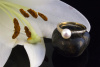 Ring mit Perle Perlenring mit Diamanten Brillanten in 750er Gold 