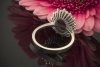 Sternrubin Ring mit Brillanten klassische Form in 750er Weißgold 