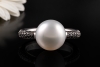 Ring mit Südsee Zuchtperle und schwarzen Diamanten in 750er Weißgold 