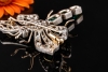 Antike Brosche Libelle Gold Smaragde Rubine Altschliff Diamanten um 1900 