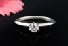 Tiffany & Co. Solitär Ring Setting mit Diamant 0,33 Ct in Platin 950 OVP 