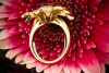 Motiv Ring BLUME mit 2 Carat TOP Brillanten in 750er Gelbgold 53 - 56 