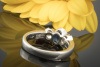 Saphir Ring mit gelben Brillanten und Carré Diamanten in 950er Platin Arbeit 