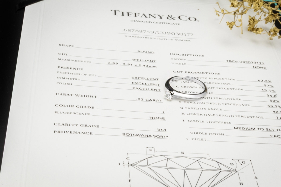 Tiffany & Co Solitär Ring Setting mit Diamant 0,22 Ct in Platin Full Set 