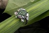 Tier Motiv Ring Frosch in 750er Weißgold mit Tsavorite und Rubin 