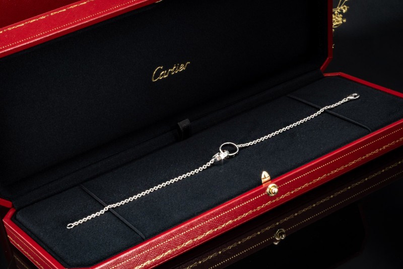 Cartier Love Armband an einer Kette Ringe Armkette in 750er Weißgold OVP 