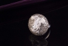 Frosch Ring mit Diamanten weiß braun und Tsavorit in 750er Weißgold 