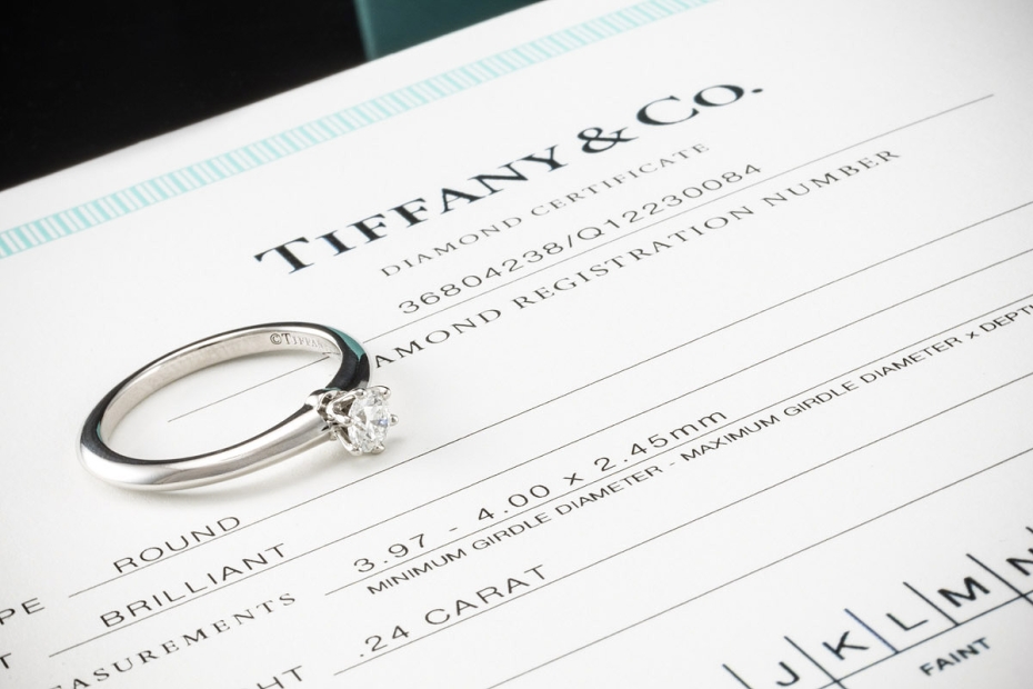Tiffany & Co Solitär Ring Setting mit Diamant 0,24 Ct in Platin Full Set 