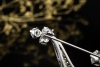 Elegante Brosche Musiknote Vintage Nadel mit Diamanten in 750er Weißgold 